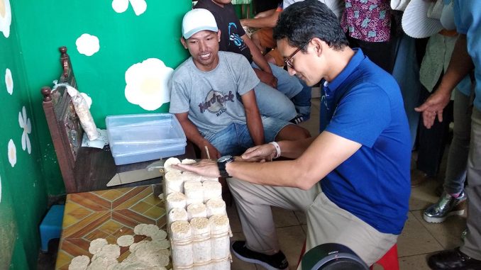 sandiaga uno keripik tempe malang